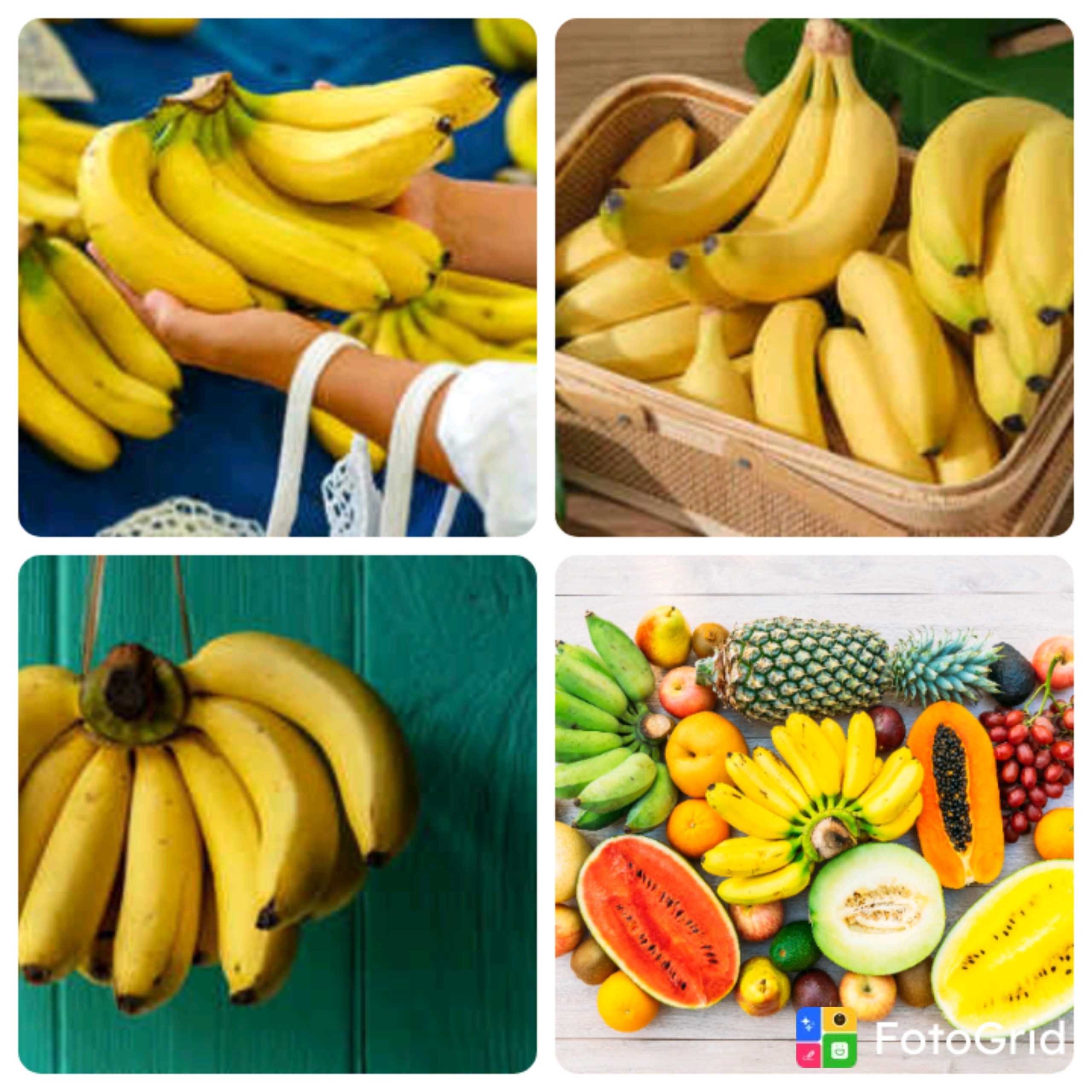 COMMENTARY: Poison On Our Plates: A Wake-Up Call on Chemically Ripened Fruits