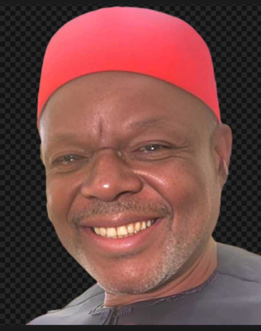 Tinubu deserves second term, Anambra RHA coordinator tells APC members