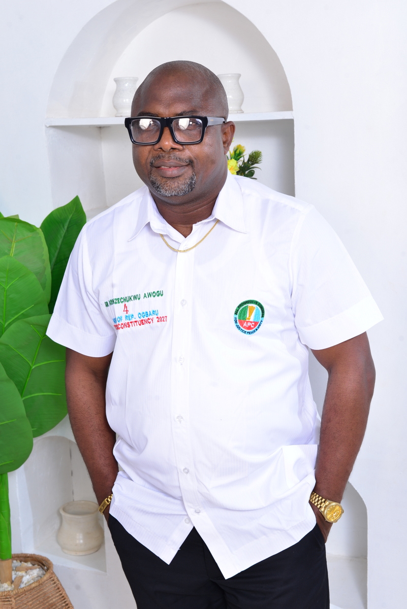 INEC confirms Awogu as APC Reps candidate for Ogbaru, Ikemba Front hails victory