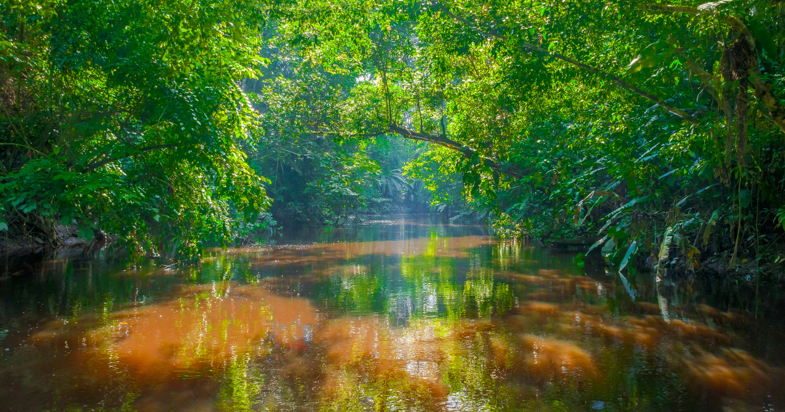 Amazon’s mysterious boiling river continues to puzzle scientists