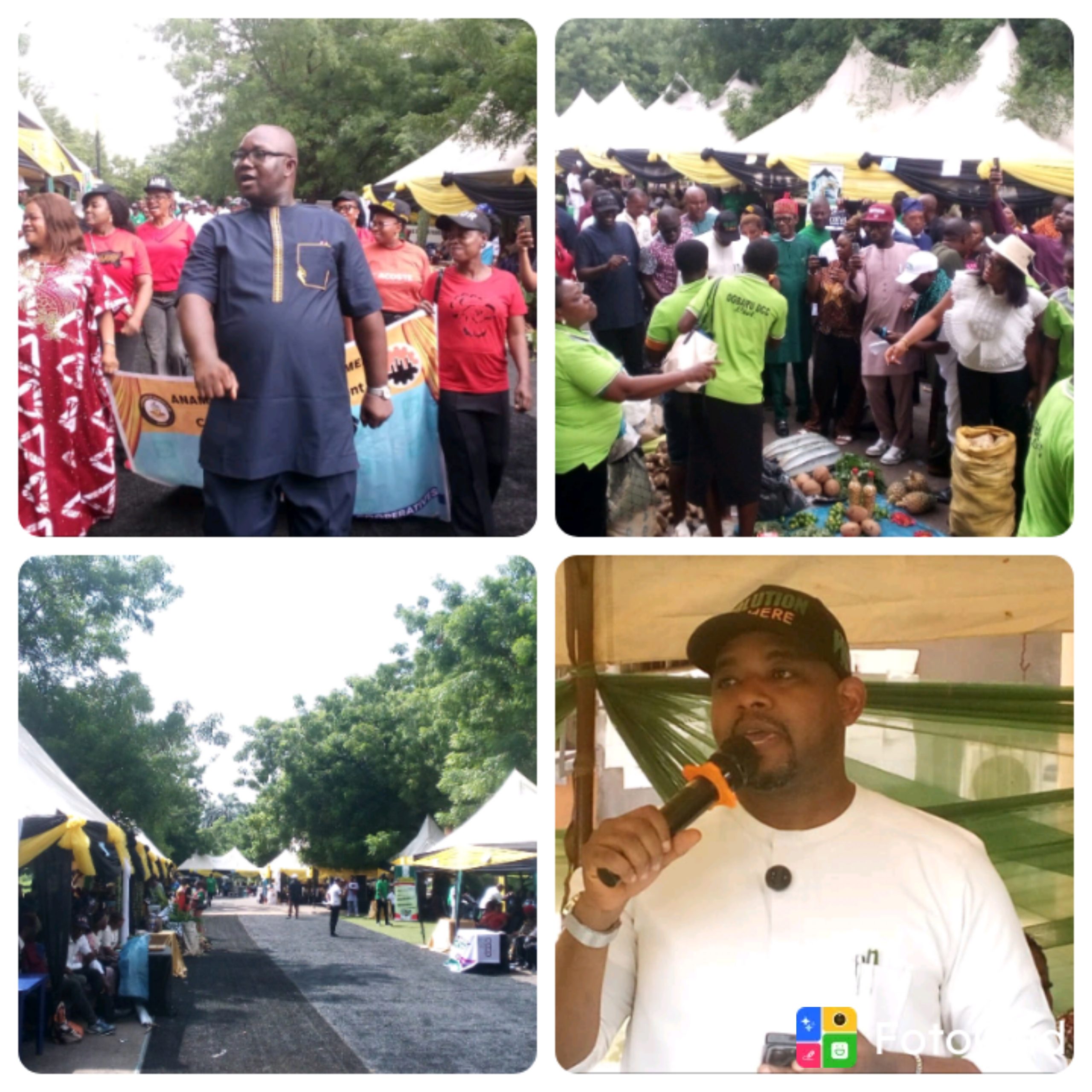 Anambra reforms cooperative sector to boost access to loans, grants