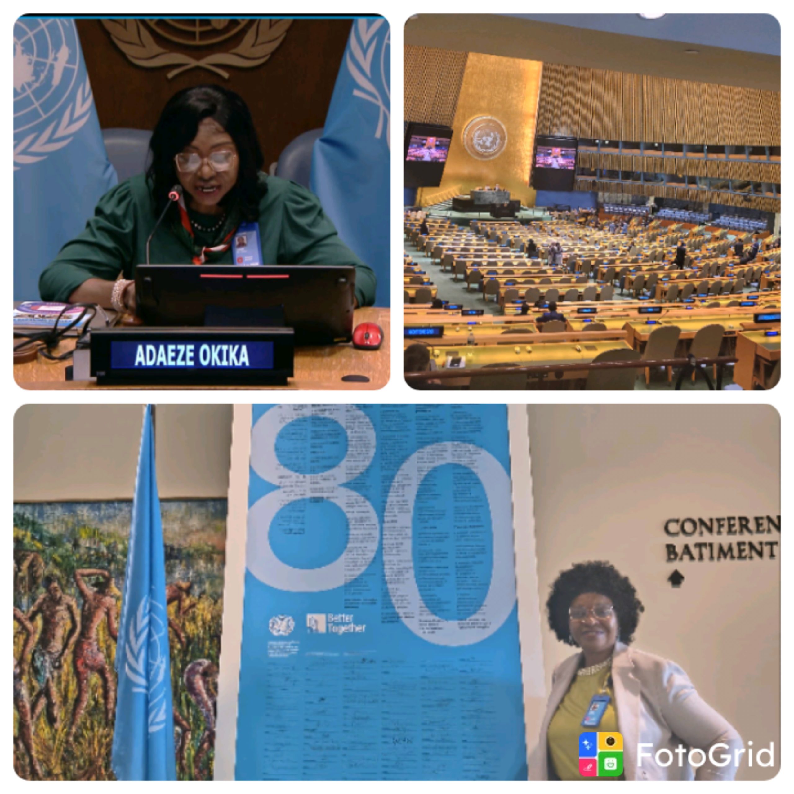 UN Promotes Nigerian Prof. Menakaya to deputy permanent observer