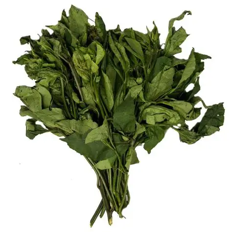 Nutritionists warn Nigerians against cutting vegetables in open markets